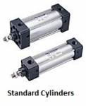 Standard Cylinders MCQA
