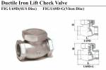 Ductile Iron lift check valve